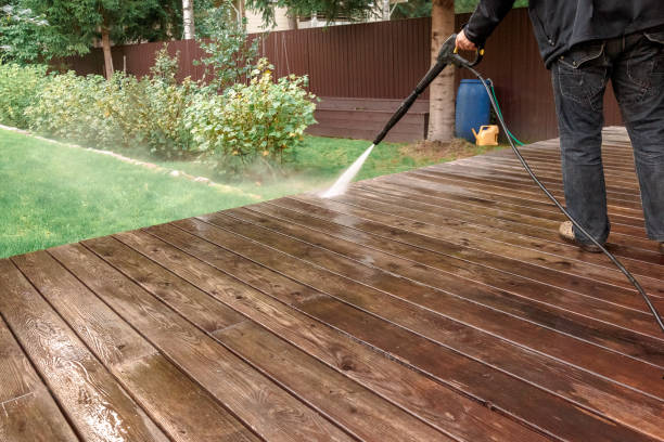 Best Spring Cleaning  in Colon, MI